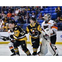 Lehigh Valley Phantoms goaltender Felix Sandström vs. the Wilkes-Barre/Scranton