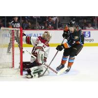 Tucson Roadrunners' Matthew Villalta versus San Diego Gulls' Brayden Tracey