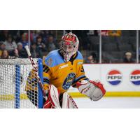 Toledo Walleye goaltender Jan Bednar