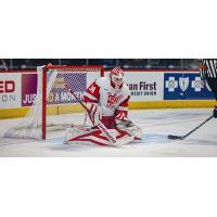 Grand Rapids Griffins goaltender Ville Husso