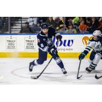 Ashton Calder of the Worcester Railers