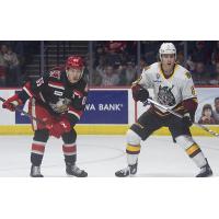 Grand Rapids Griffins right wing Dominik Shine (left) vs. the Chicago Wolves