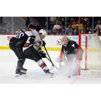 Tucson Roadrunners forward Sam Lipkin muscles inside for a shot