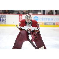 Goaltender Ivan Prosvetov with the Tucson Roadrunners