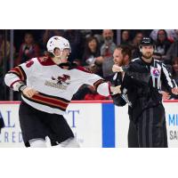 Tucson Roadrunners center Curtis Douglas (left)