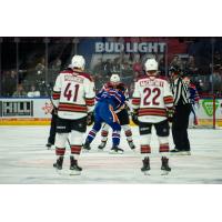 Tucson Roadrunners take in a fight