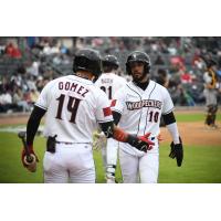 Fayetteville Woodpeckers' Kenni Gomez congratulates Alejandro Nunez