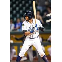 Columbia Fireflies' Erick Pena at bat