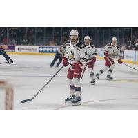 Grand Rapids Griffins left wing Zach Aston-Reese