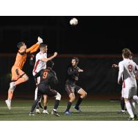 Halifax Wanderers goalkeeper Daniel Clarke in action