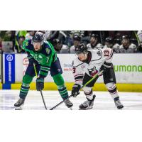 Adirondack Thunder forward Alex Young (right) vs. the Maine Mariners