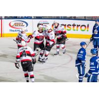 Belleville Senators celebrate win