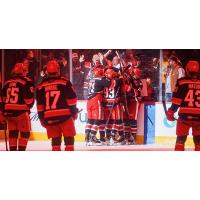 Grand Rapids Griffins celebrate a goal