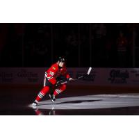 Rockford IceHogs defenseman Ethan Del Mastro