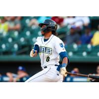 Columbia Fireflies' Austin Charles in action