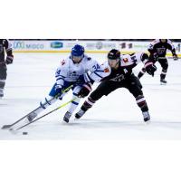 Wichita Thunder forward Jason Pineo (left) vs. the Rapid City Rush