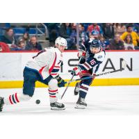 Springfield Thunderbirds' Leo Loof versus Hartford Wolf Pack's Jake Leschyshyn