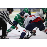 Florida Everblades' Robert Carpenter versus South Carolina Stingrays' Austin Magera