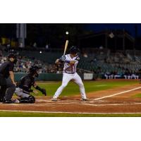 Montgomery Biscuits at bat