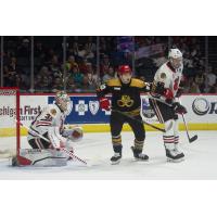 Grand Rapids Griffins' Michal Teply and Rockford IceHogs' Cam Gray and Louis Crevier on game night