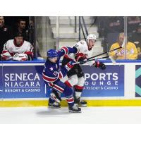 Rochester Americans' Graham Slaggert versus Belleville Senators' Zack Ostapchuk