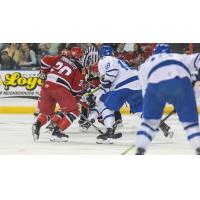 Wichita Thunder battle the Rapid City Rush