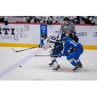 Worcester Railers' Blade Jenkins versus Trois-Rivières Lions' Daryk Dube-Plouffe