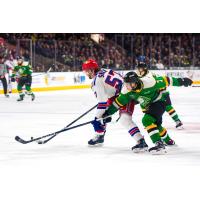 Kitchener Rangers' Trent Swick in action