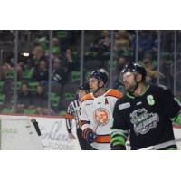 Greenville Swamp Rabbits' Tanner Eberle and Savannah Ghost Pirates' Matt Boudens on game night