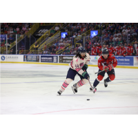 Florida Everblades' Nathan Staios versus South Carolina Stingrays' Jacob Hudson