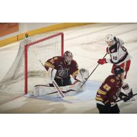 Chicago Wolves' Adam Scheel and Chris Terry and Grand Rapids Griffins' Marco Kasper on game night