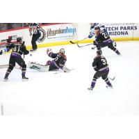 Tucson Roadrunners' Goalie Matthew Villalta in action