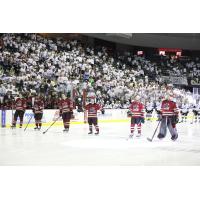 Tucson Roadrunners in front of a white out crowd