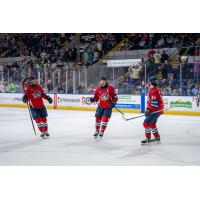 Springfield Thunderbirds react following a goal