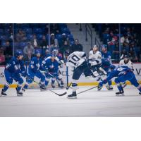 Worcester Railers defenseman Trevor Cosgrove gets a stick on the puck vs. the Trois-Rivières Lions