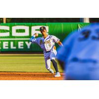 Charleston RiverDogs shortstop Ricardo Gonzalez