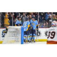 Toledo Walleye celebrate a goal