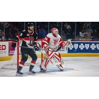 Grand Rapids Griffins goaltender Ville Husso