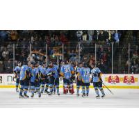 Toledo Walleye gather together