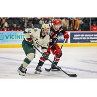 Grand Rapids Griffins up against the Iowa Wild