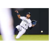 Erick Pena of the Columbia Fireflies