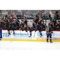 Tucson Roadrunners watch the action from the bench