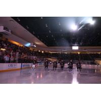 Tucson Roadrunners pregame lineup