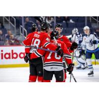 Rockford IceHogs celebrate a goal