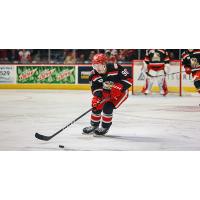 Grand Rapids Griffins center Riley Sawchuk