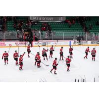 Belleville Senators on the ice