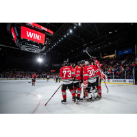 Rockford IceHogs gather after a win