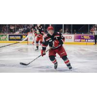 Grand Rapids Griffins center Austin Czarnik