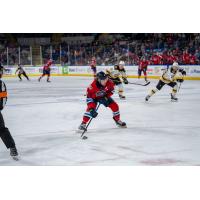 Springfield Thunderbirds forward Adam Gaudette