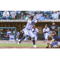 Charleston RiverDogs at bat